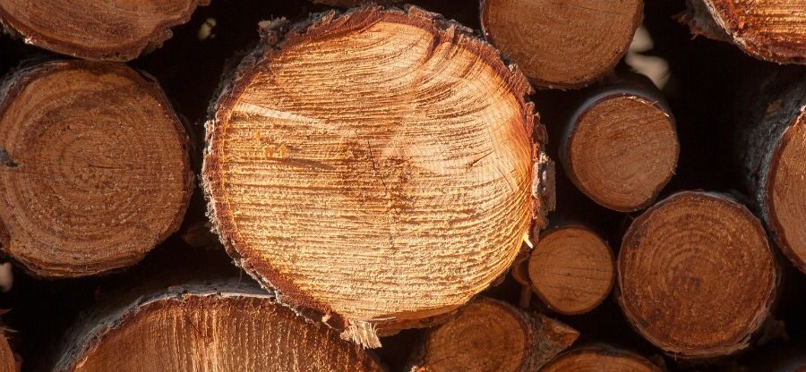 Sauna mit Holzofen heizen, Holz im Detail